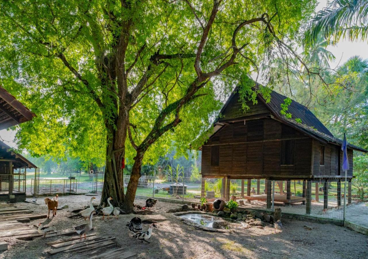 Pelangi Beach Resort & Spa, Langkawi Exterior foto A traditional house in Perak, Malaysia