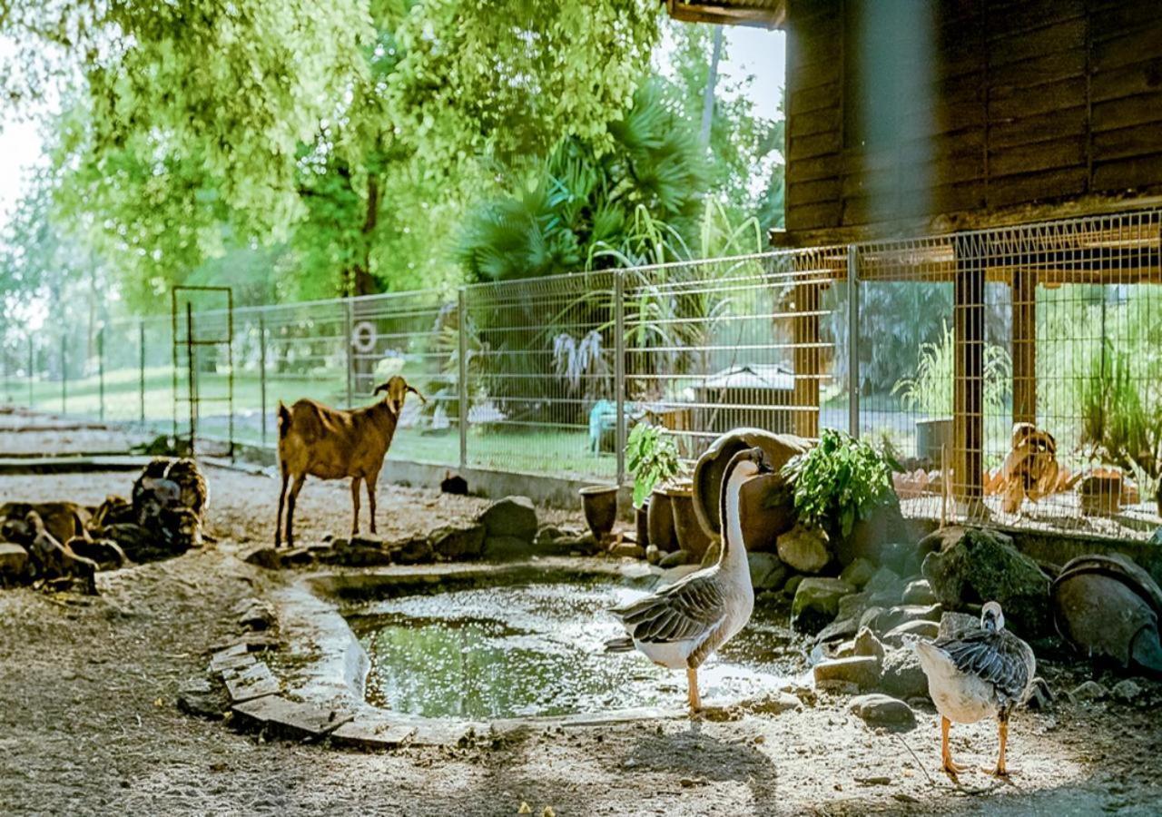 Pelangi Beach Resort & Spa, Langkawi Exterior foto The goat barn at the Old Zoo